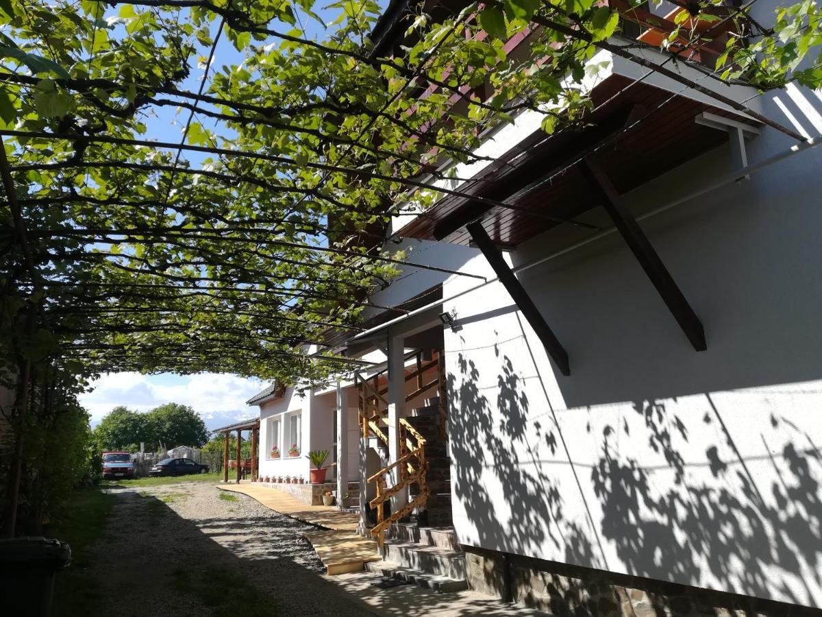 Casa Mirandre Apartman Hátszeg Kültér fotó